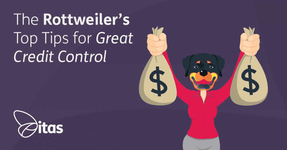 The Rottweilers Top Tips for Great Credit Control