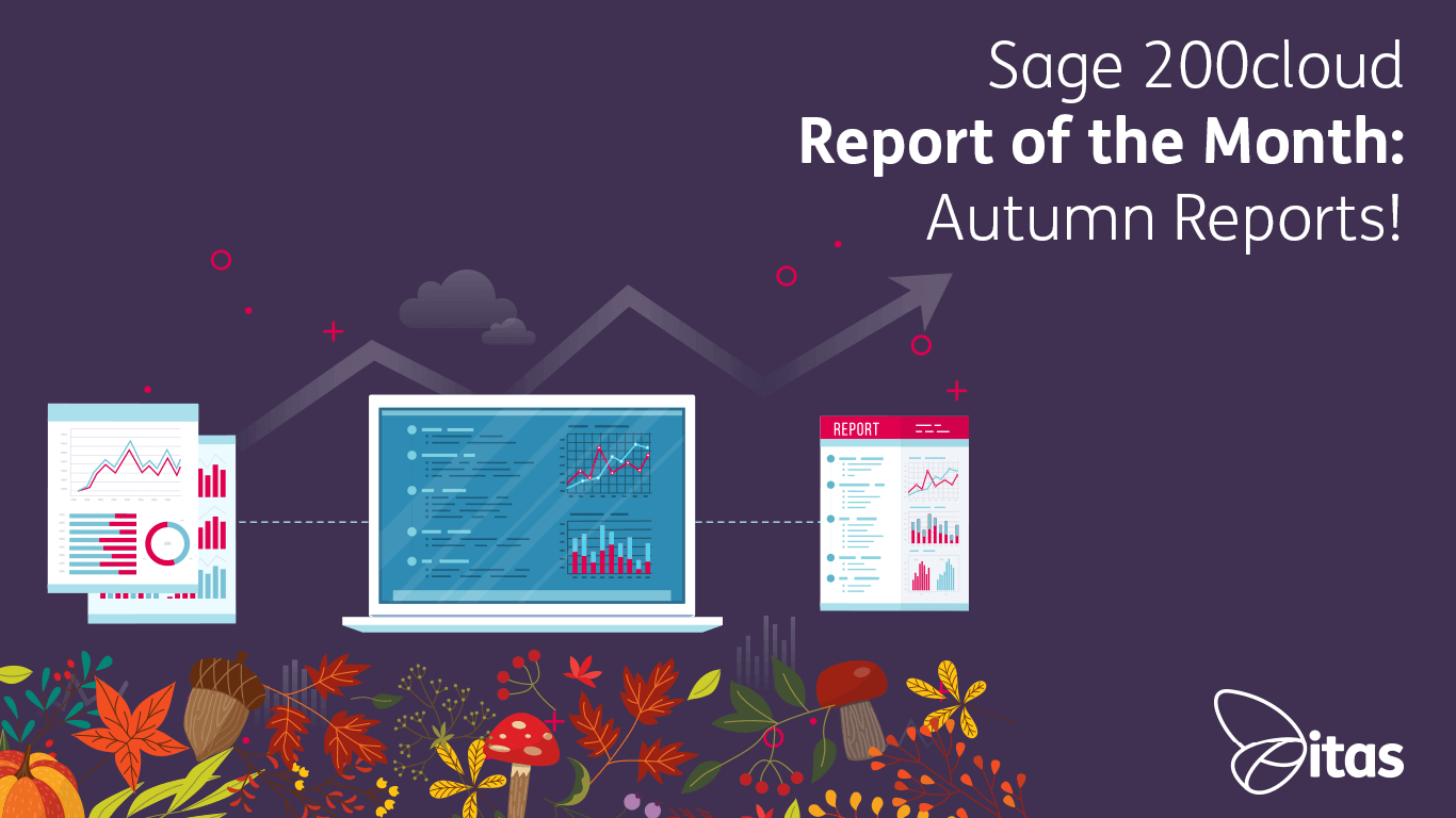 Featured image for “Sage 200cloud Report of the Month – Autumnal Reports!”