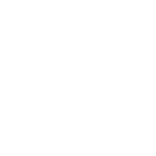 Brothers of Charity Services logo
