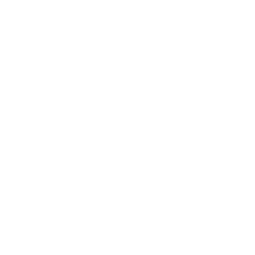 Ferry Project logo