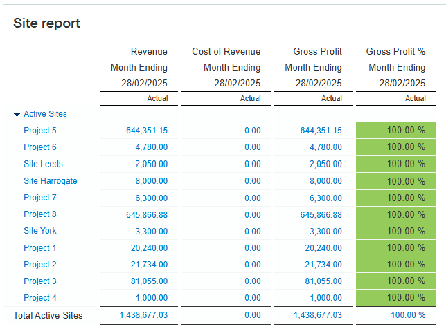 Sage Intacct Profit Report